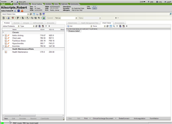 This is the view from inside Allscripts Touchworks EHR